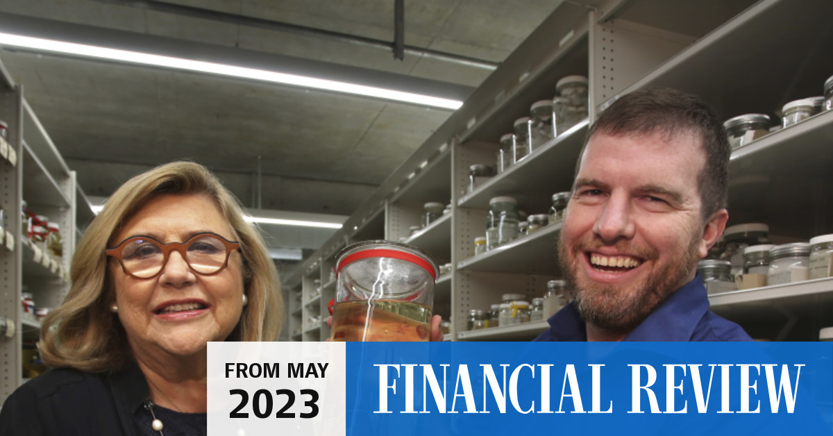 Australian Museum boss Kim McKay shows off its AAAbones